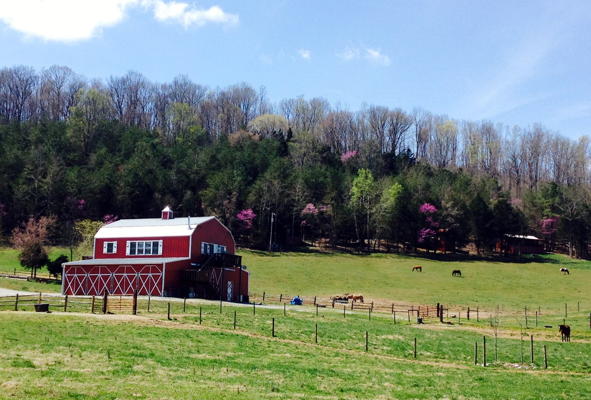 Tandy Farm Sparta, Tennessee